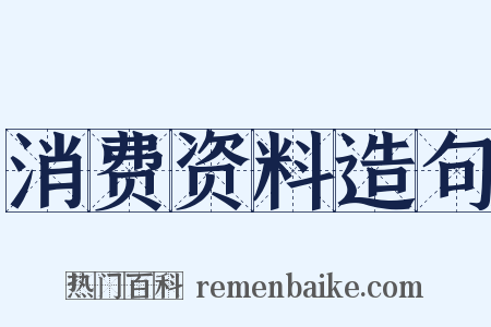 消费资料造句是什么意思的图片